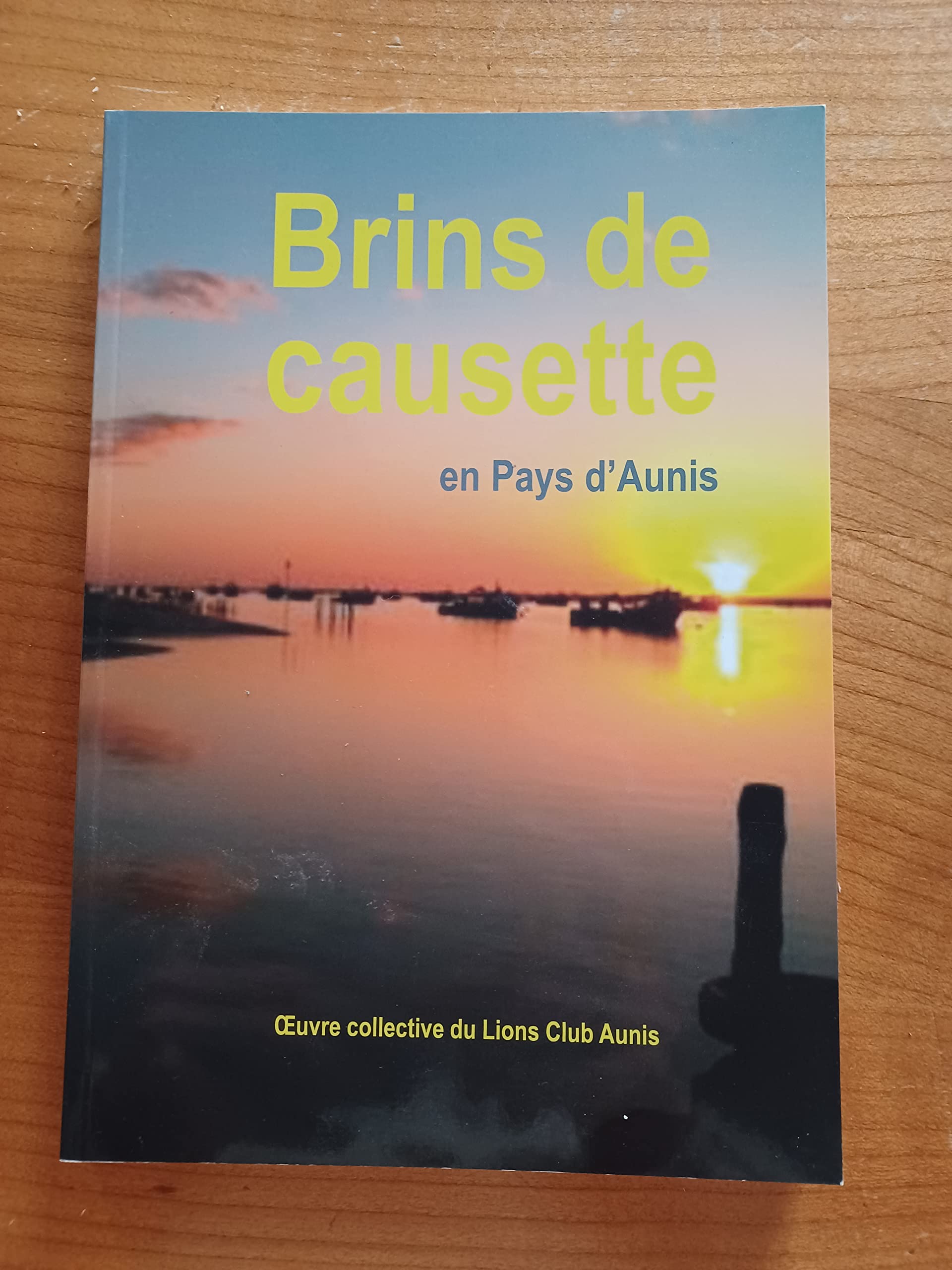 Brins de causette en pays d'Aunis - Œuvre collective du lions Club Aunis book