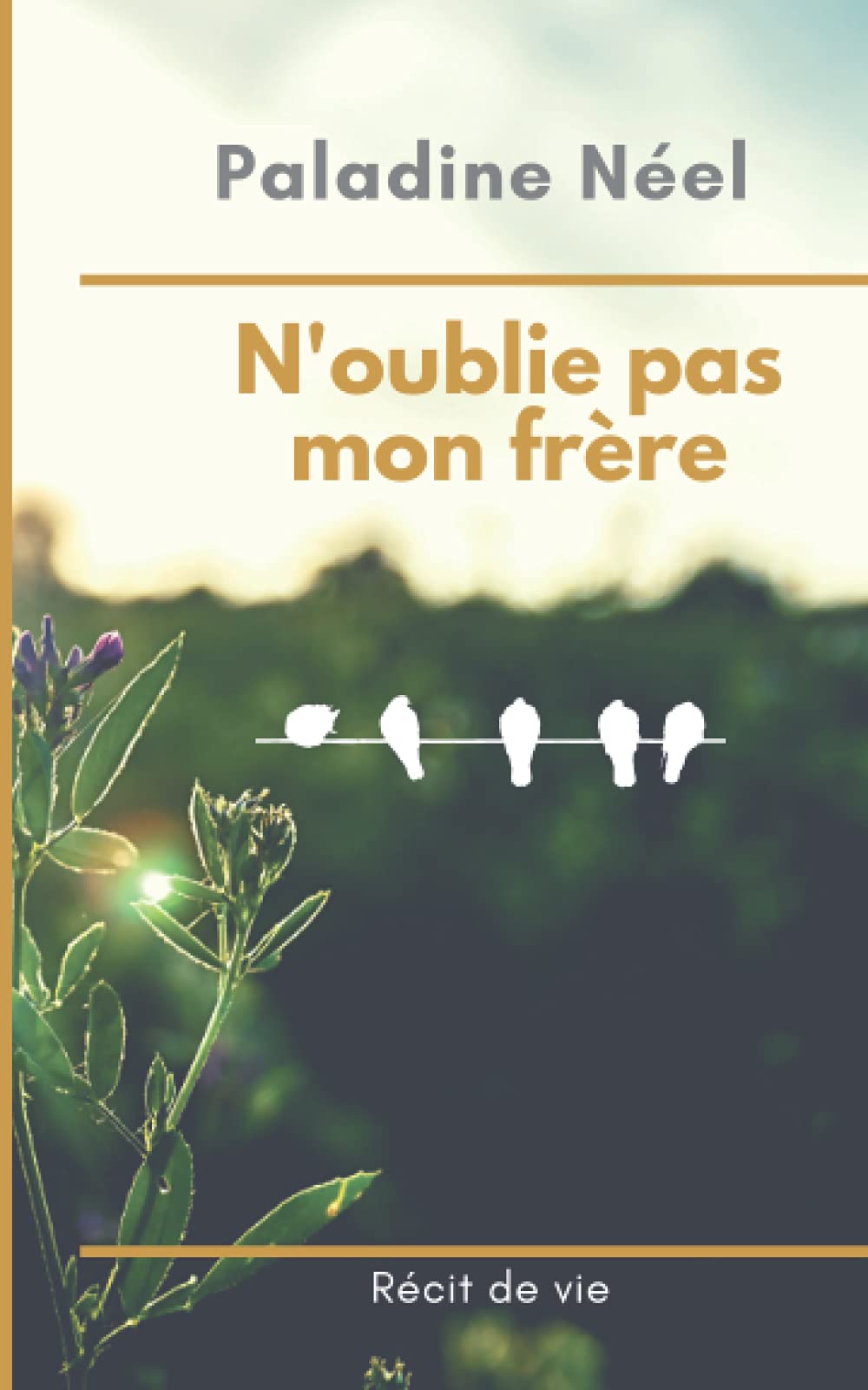 N'oublie pas mon frère: Récit de vie book
