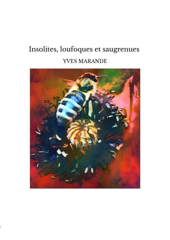 Insolites, loufoques et saugrenues book