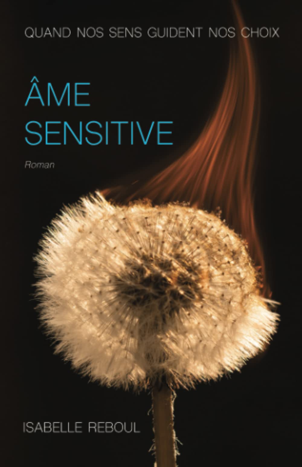 ÂME SENSITIVE: QUAND NOS SENS GUIDENT NOS CHOIX book