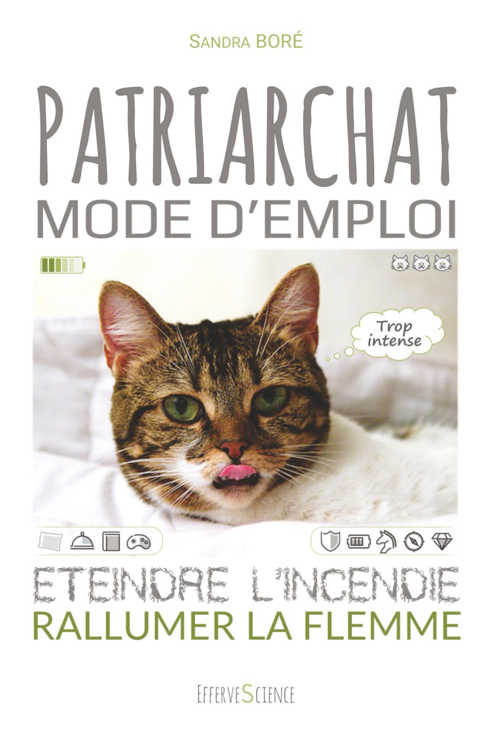 Patriarchat mode d'emploi: Eteindre l'incendie, rallumer la flemme book
