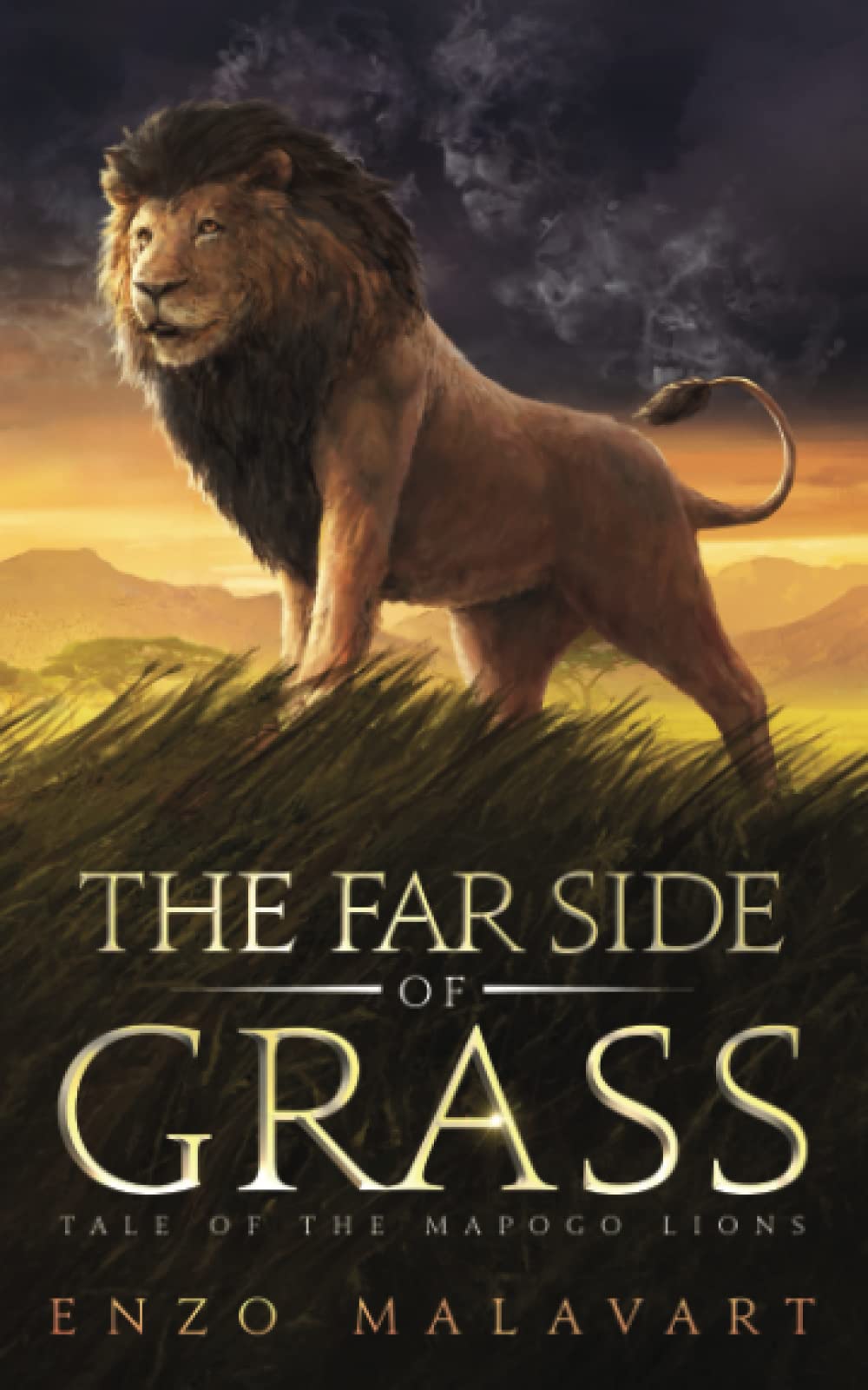 The Far Side of Grass: Tale of the Mapogo lions Action & Adventure