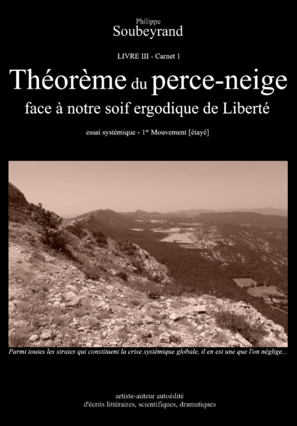 Théorème du perce-neige: face à notre soif ergodique de Liberté Mathematics