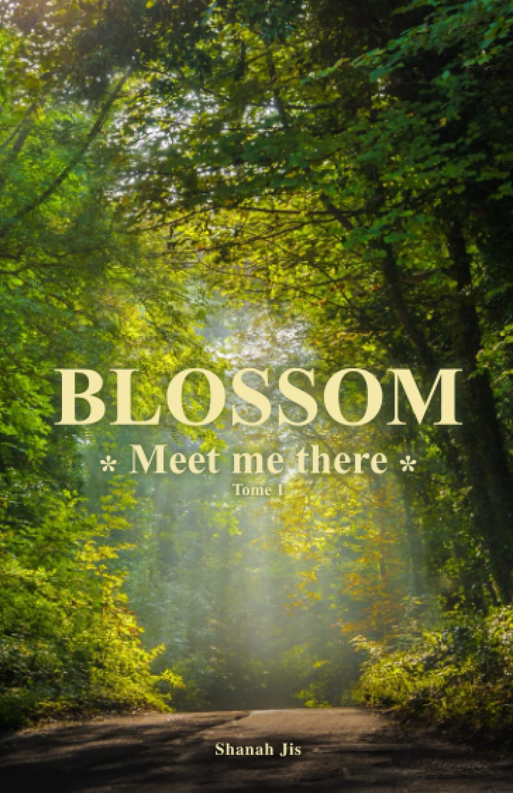 Product Image: Blossom: Meet Me There