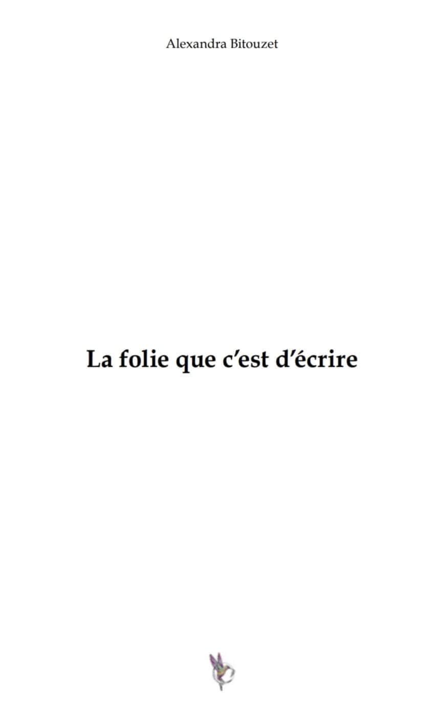 La folie que c'est d'écrire Books