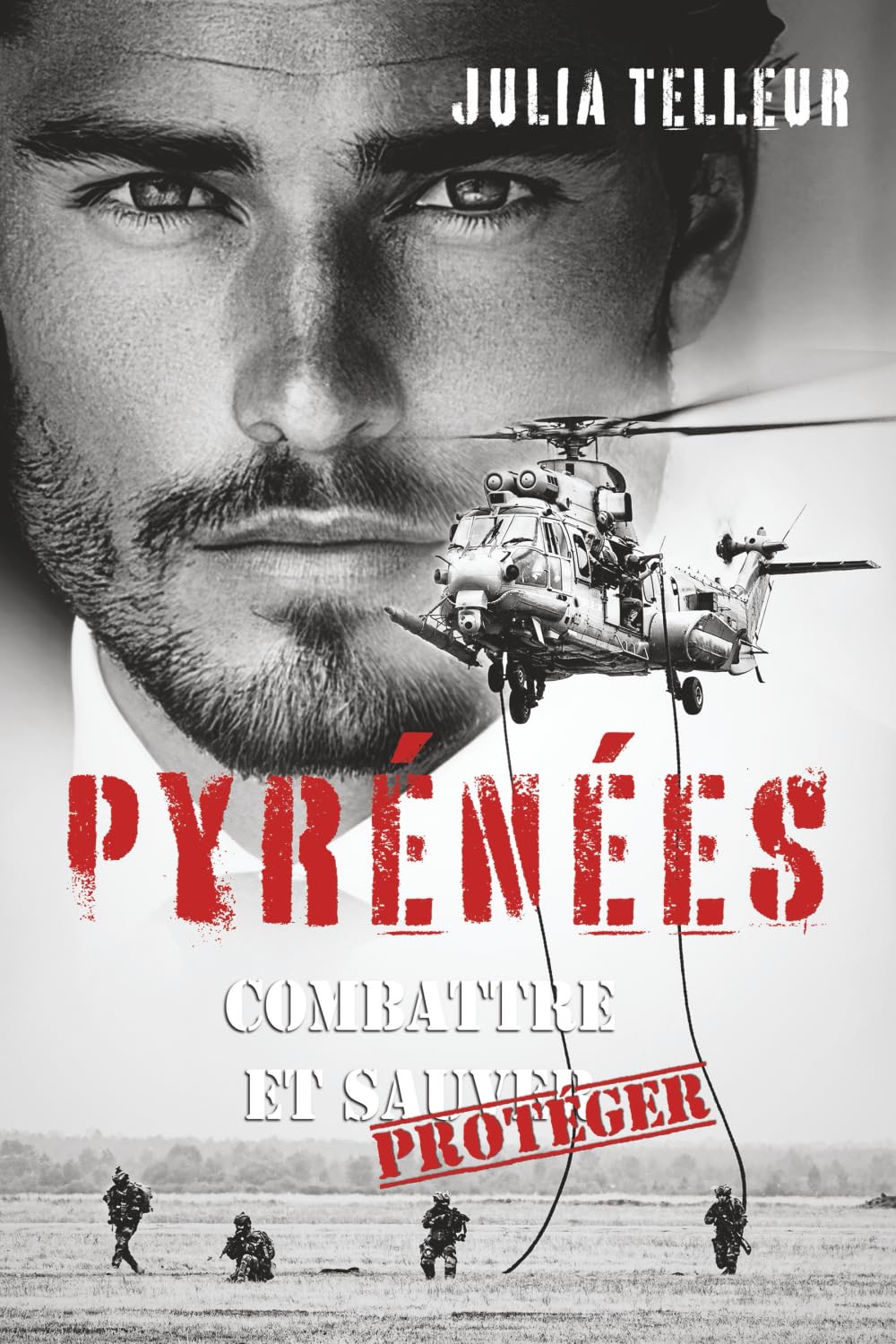 Pyrénées : Combattre et Protéger: tome 3 book