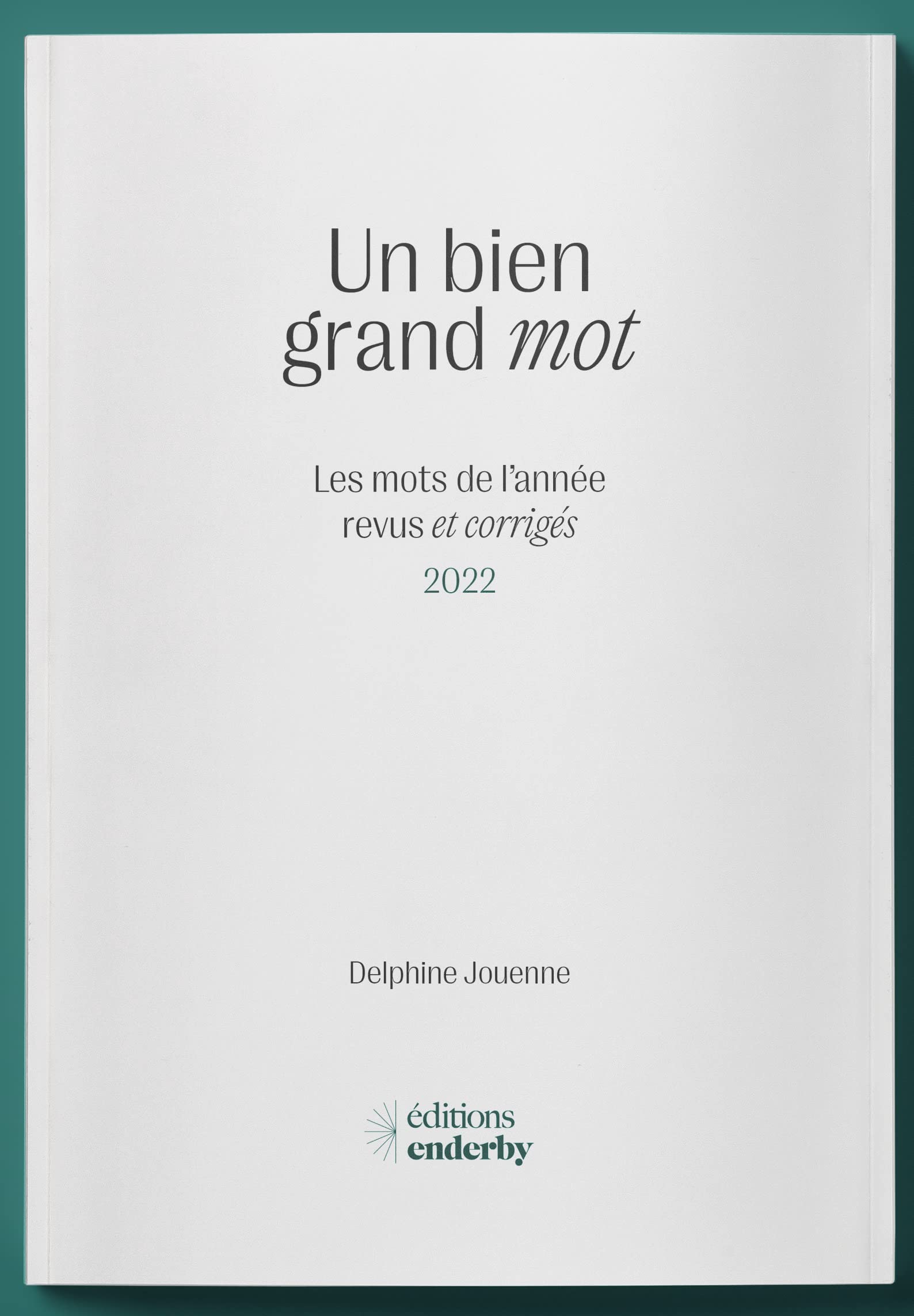 Un bien grand mot: Les mots de l'année revus et corrigés 2022 Books