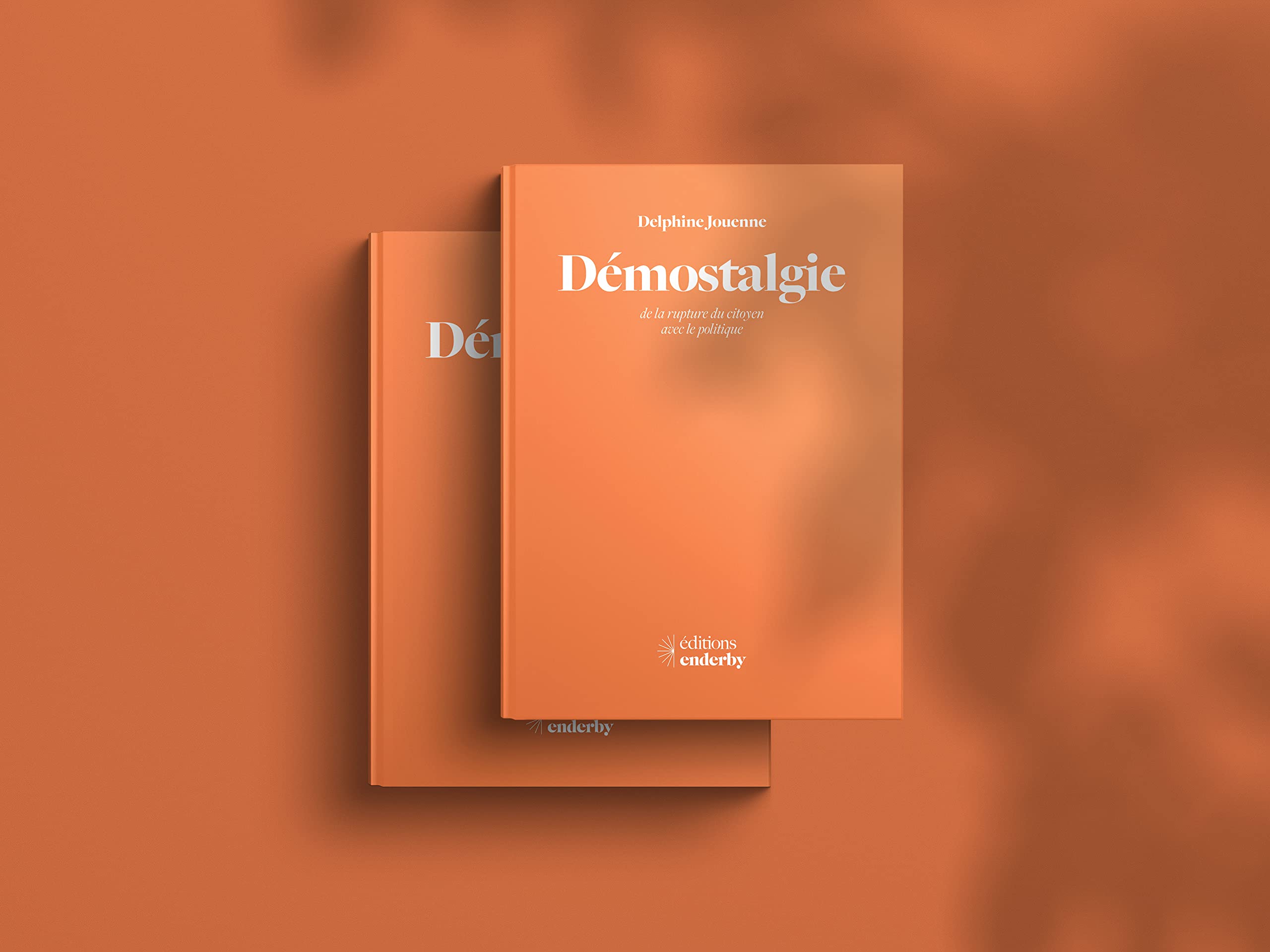 Démostalgie: De la rupture du citoyen avec le politique Books