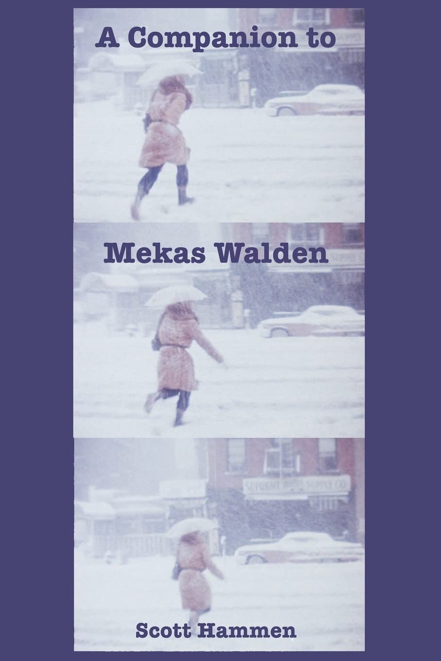 A Companion to Mekas Walden: A Guide to Jonas Mekas's Diaries, Notes and Sketches Film, Art & Culture