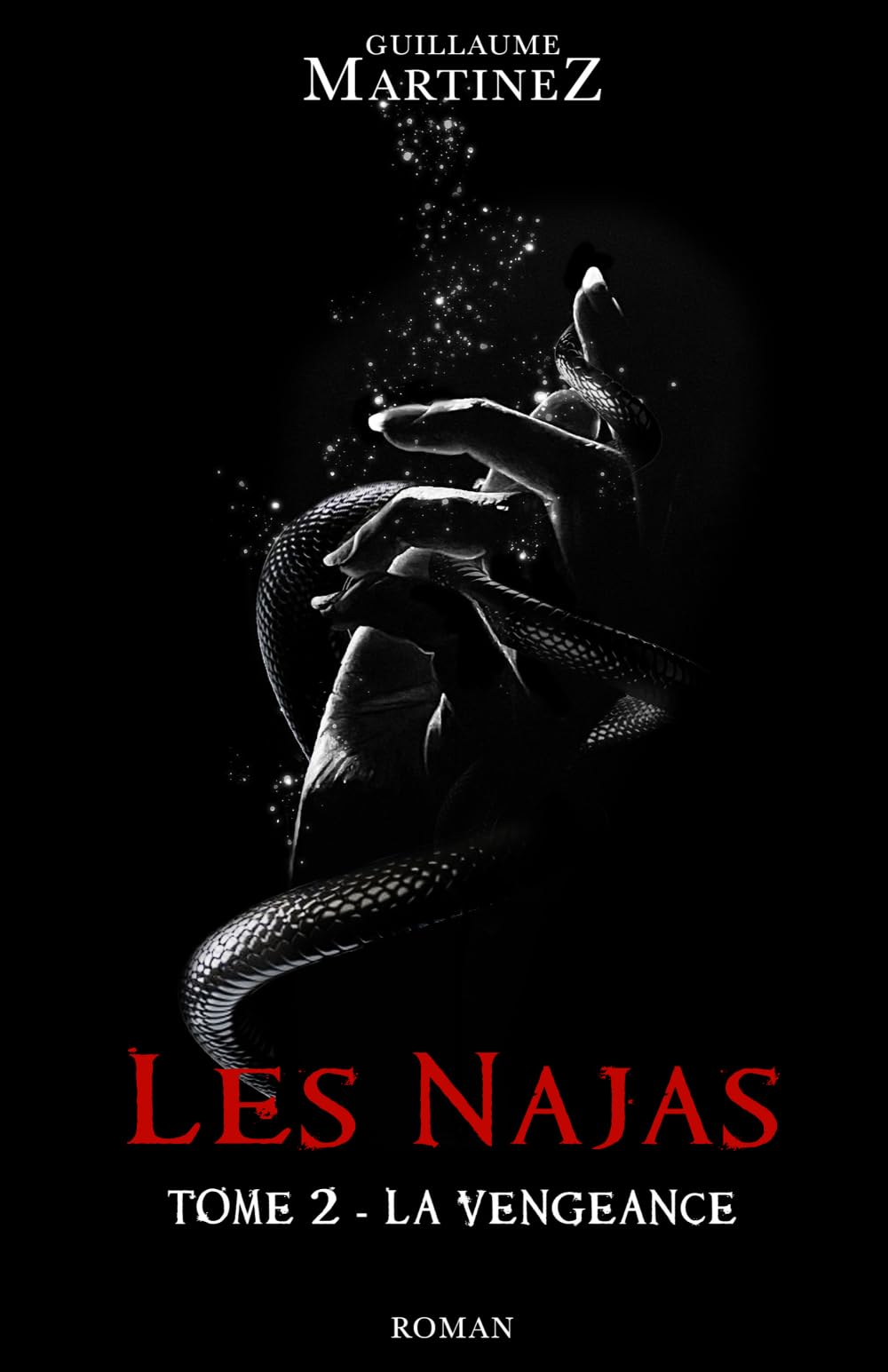 Les Najas : Tome 2 - La vengeance book