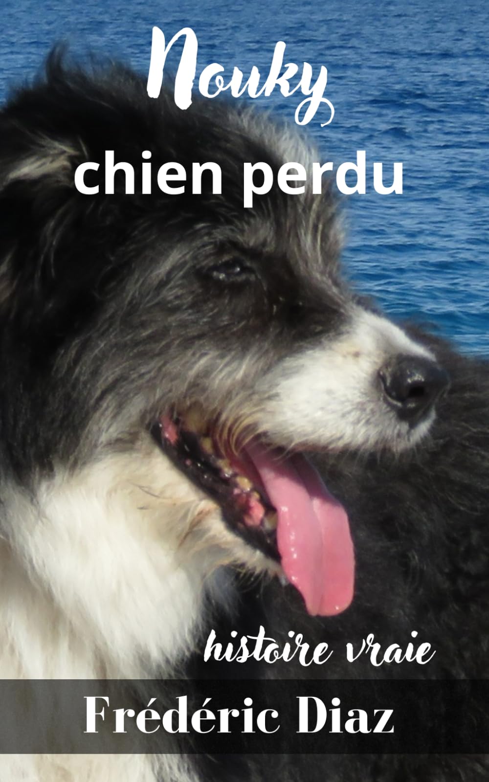 Nouky chien perdu: livre chien histoire vraie Books