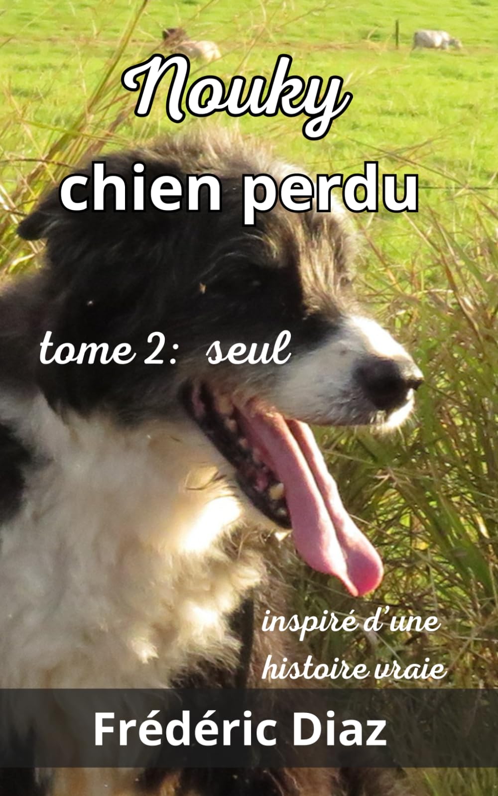 Nouky chien perdu tome 2 : seul book