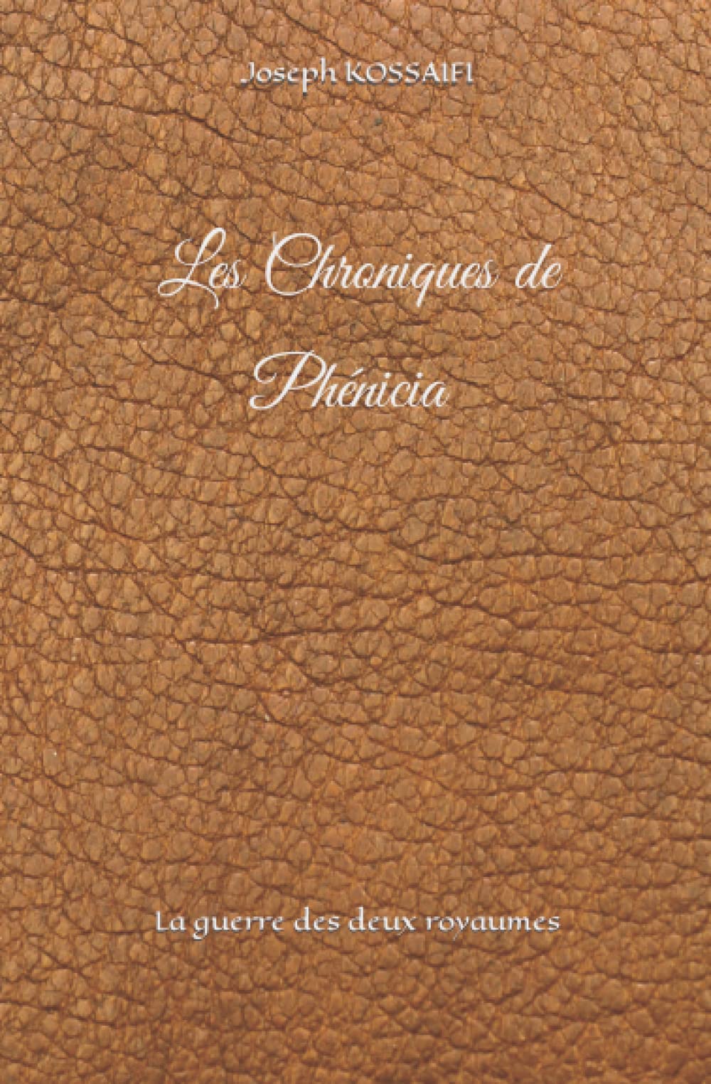 Les Chroniques de Phénicia: La guerre des deux royaumes book
