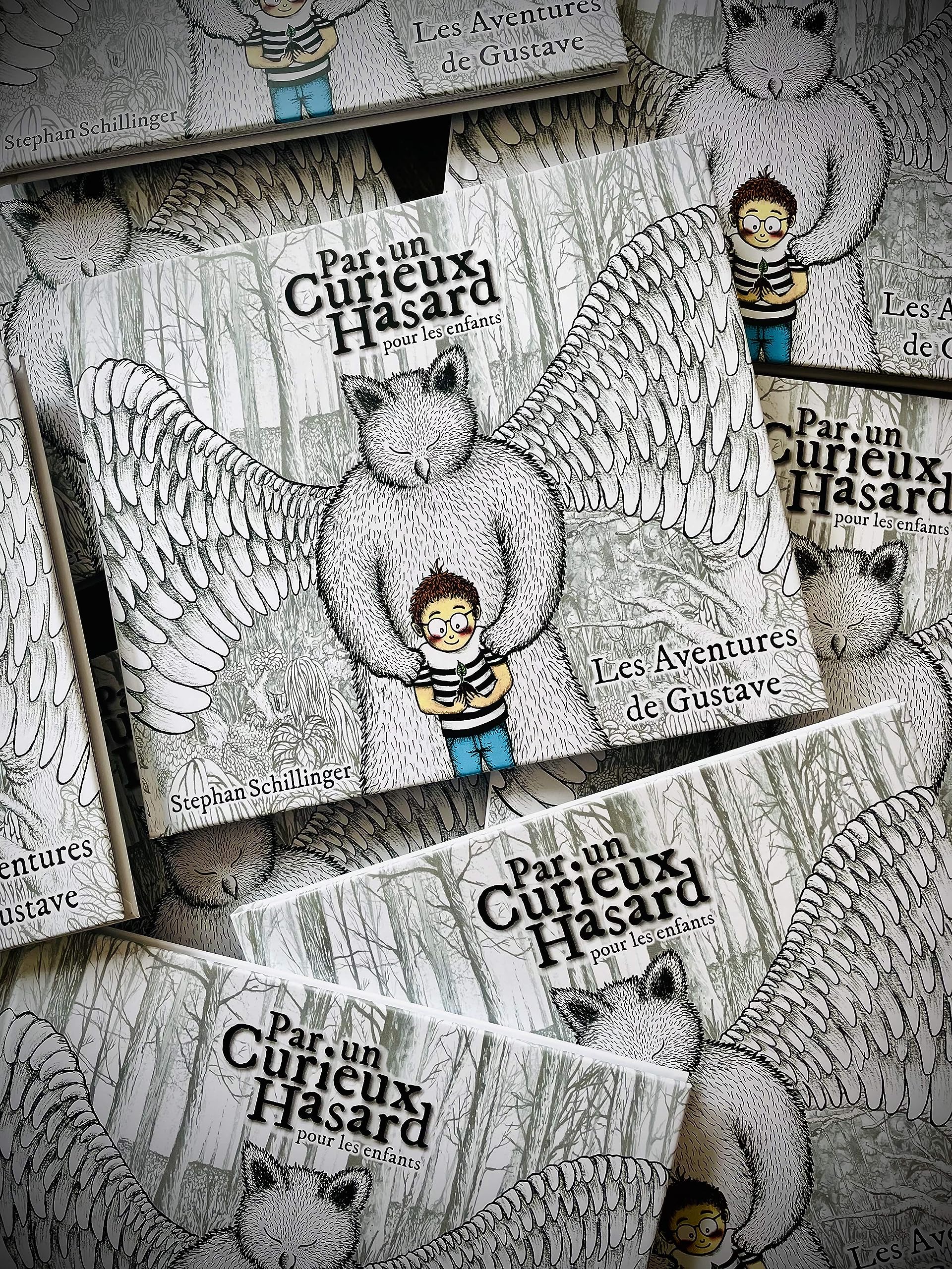 Par un Curieux Hasard pour les enfants - Les Aventures de Gustave book