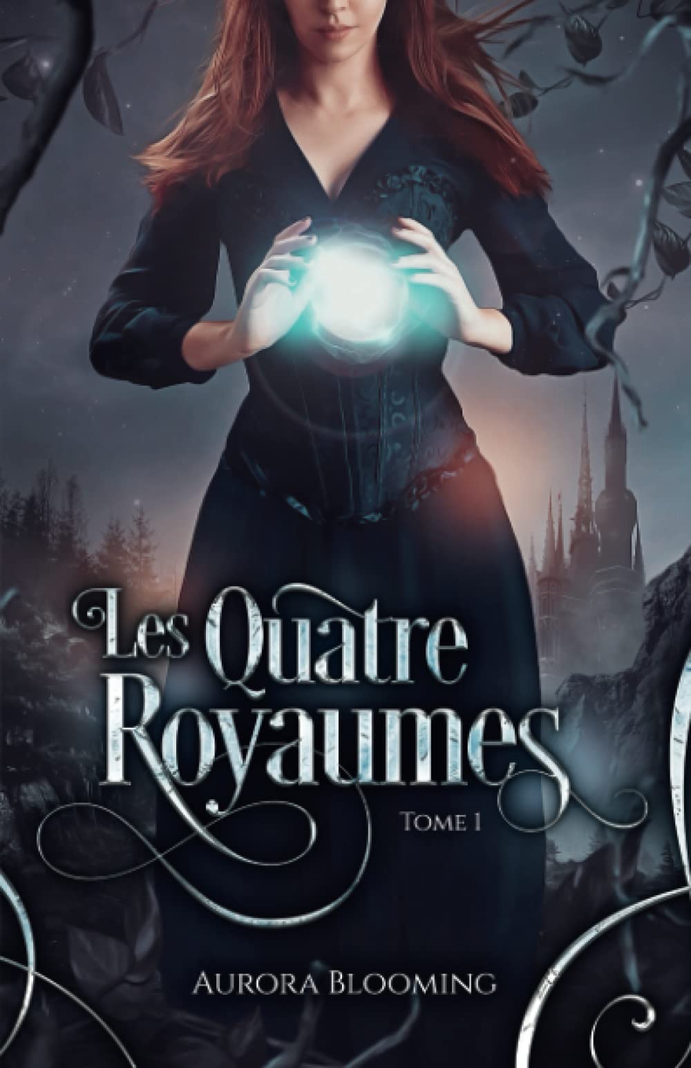 Les Quatre Royaumes Tome 1: Un Vent de Discorde Books
