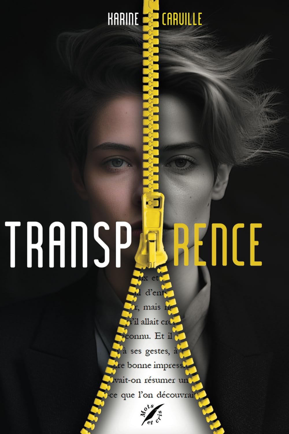 Transparence - Roman policier Detective & CSI