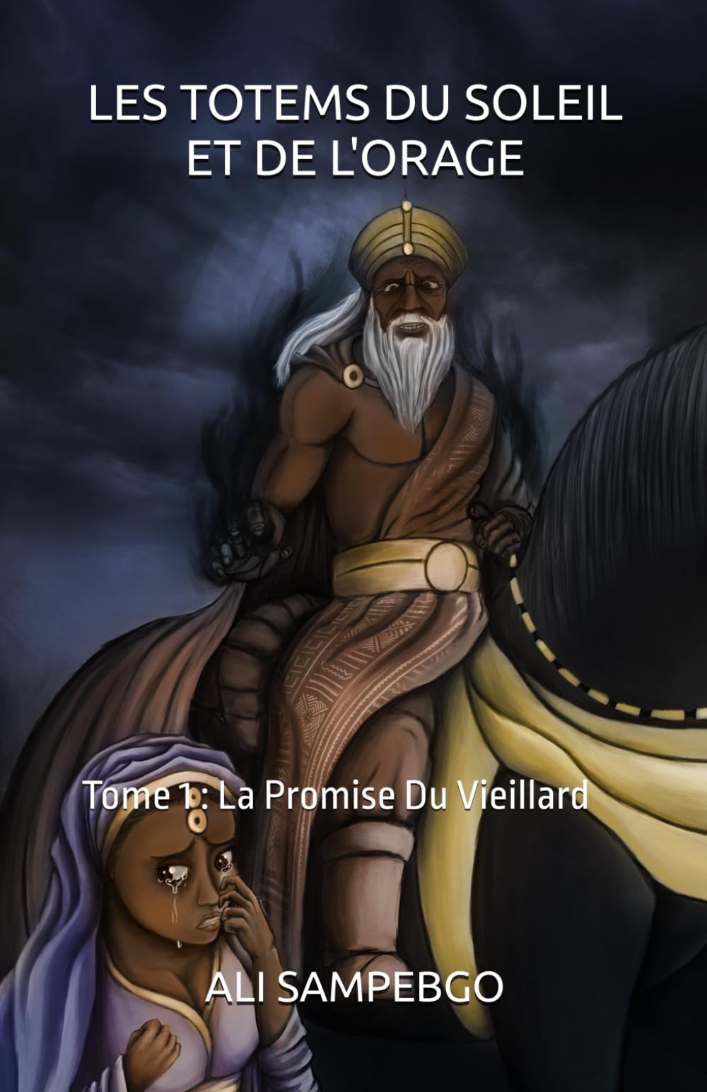 LES TOTEMS DU SOLEIL ET DE L'ORAGE: Tome 1 : La Promise Du Vieillard book