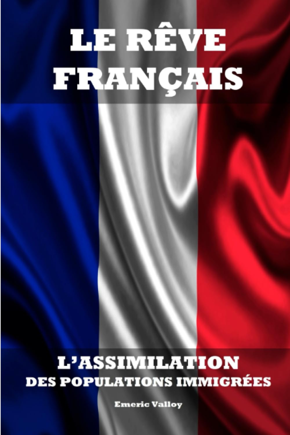Le rêve français - L'assimilation des populations immigrées Social Sciences