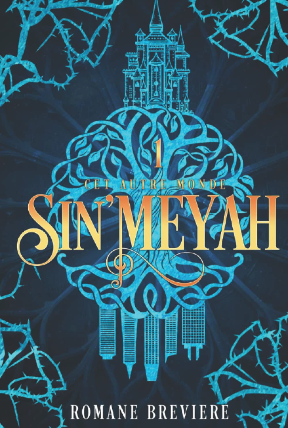 Sin'Meyah: Tome 1 : Cet autre monde Books