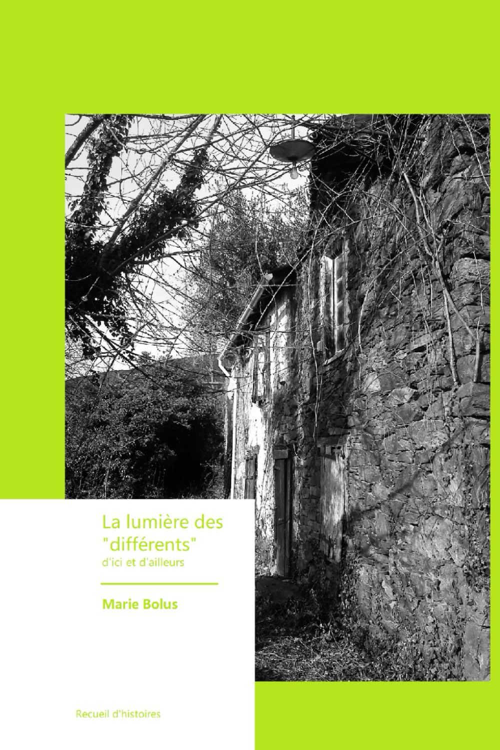 La lumiére des différents: D'ici et d'ailleurs Contemporary literature