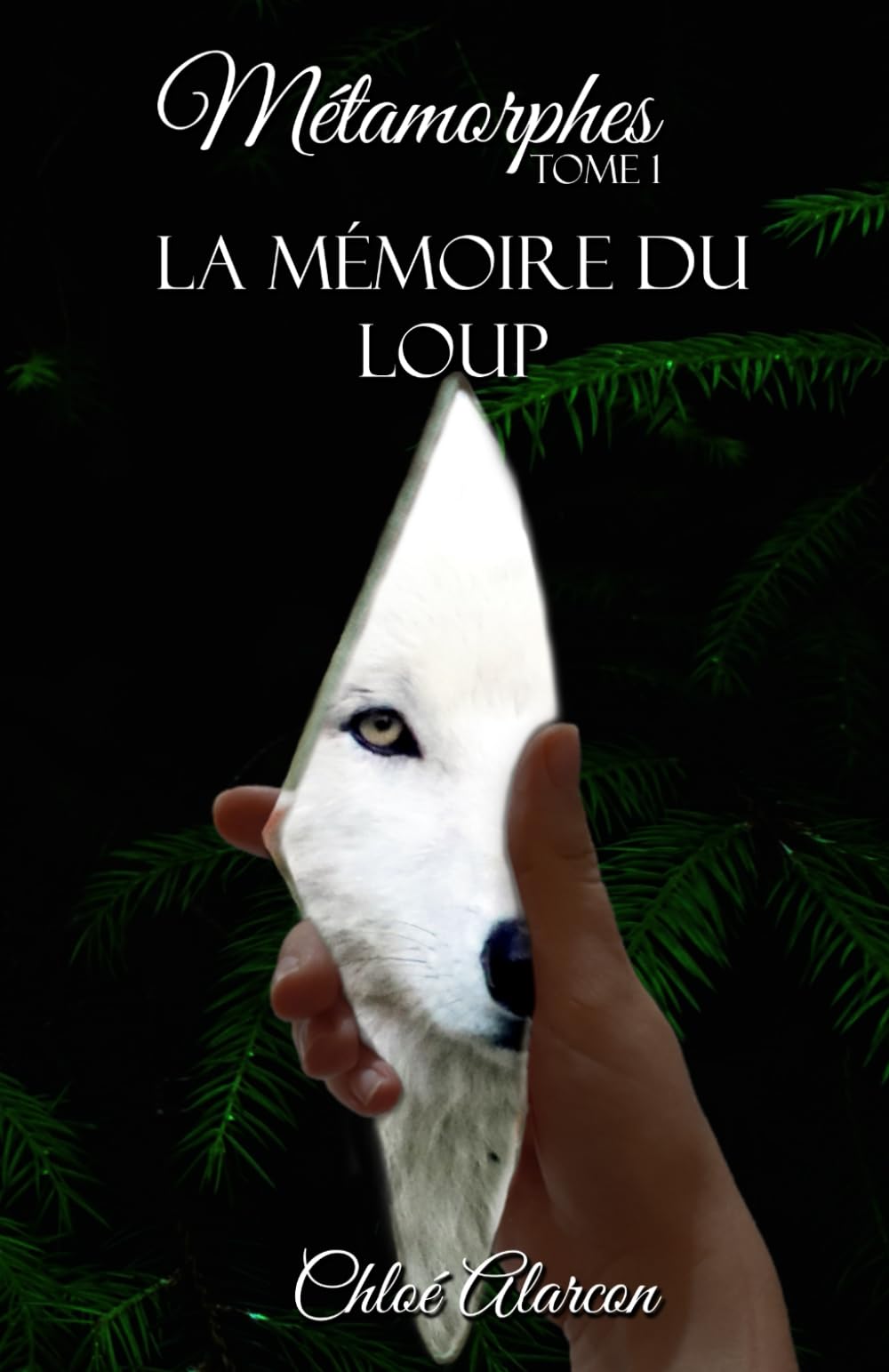Métamorphes, Tome 1 : La mémoire du loup Eroticism