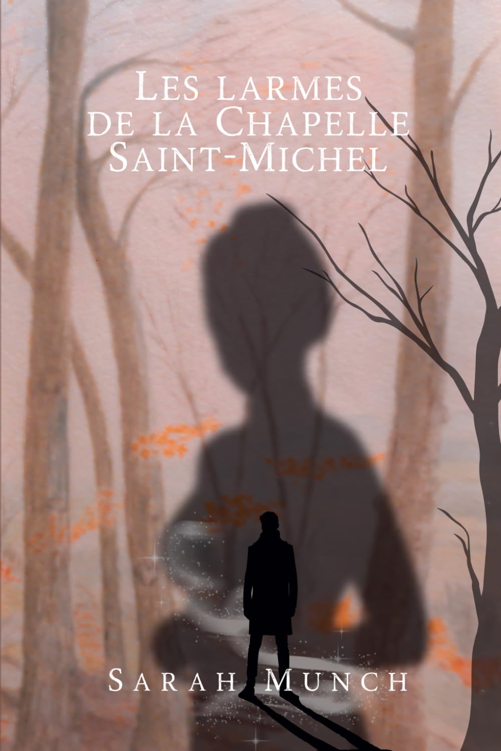 Les Larmes de la Chapelle Saint-Michel book