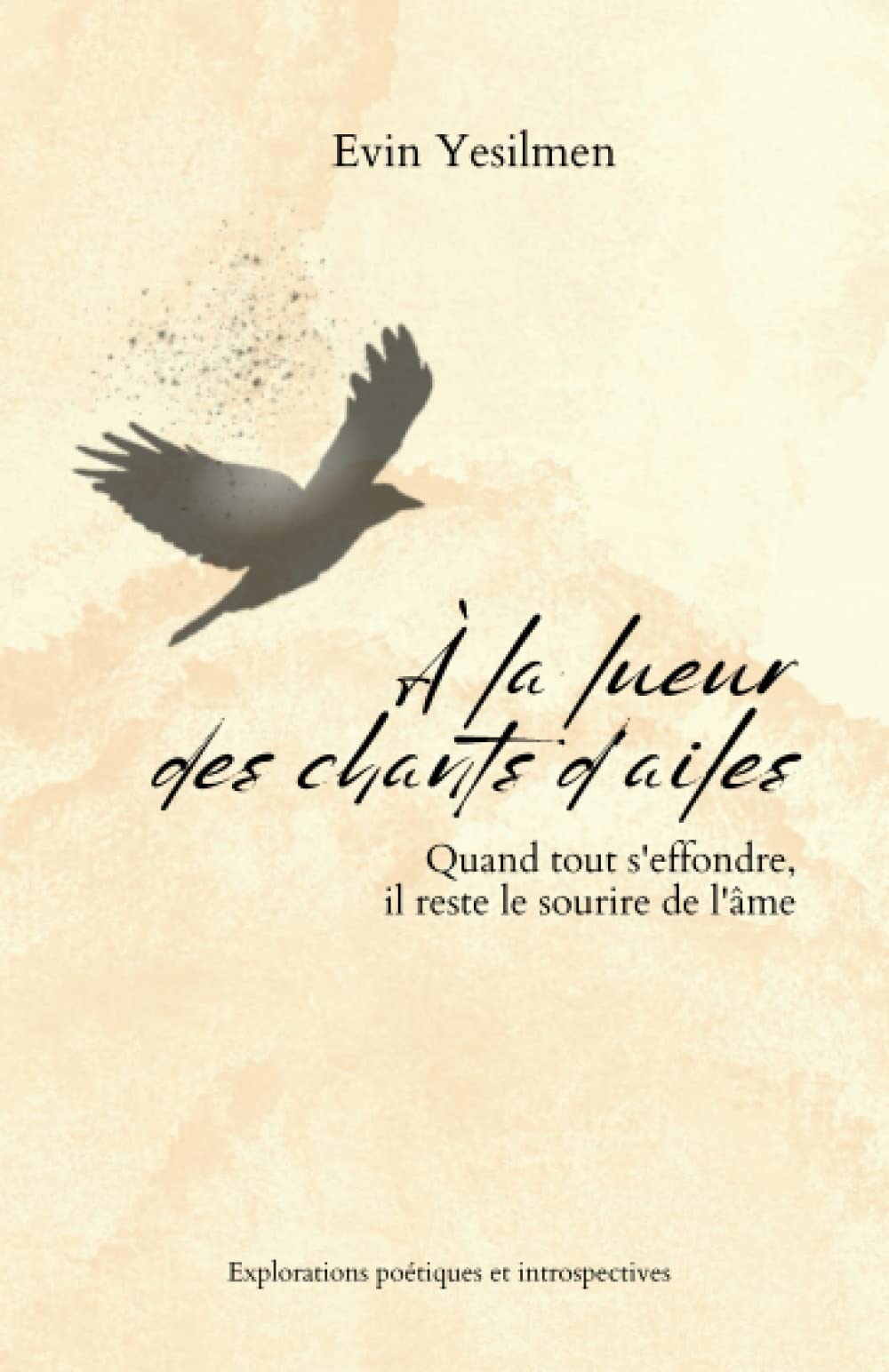 À la lueur des chants d'ailes Poetry
