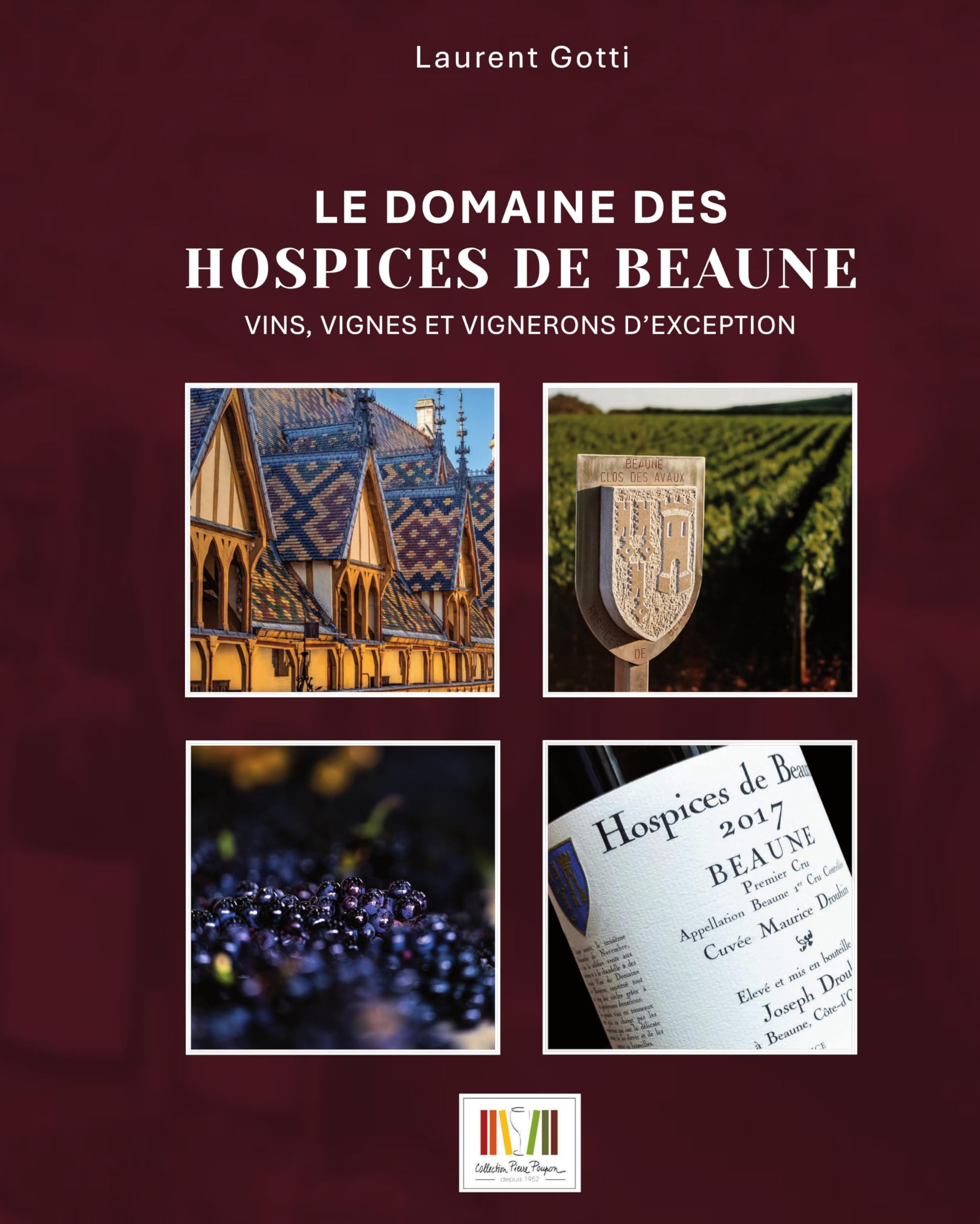 LE DOMAINE DES HOSPICES DE BEAUNE : VINS, VIGNES ET VIGNERONS D´EXCEPTION book