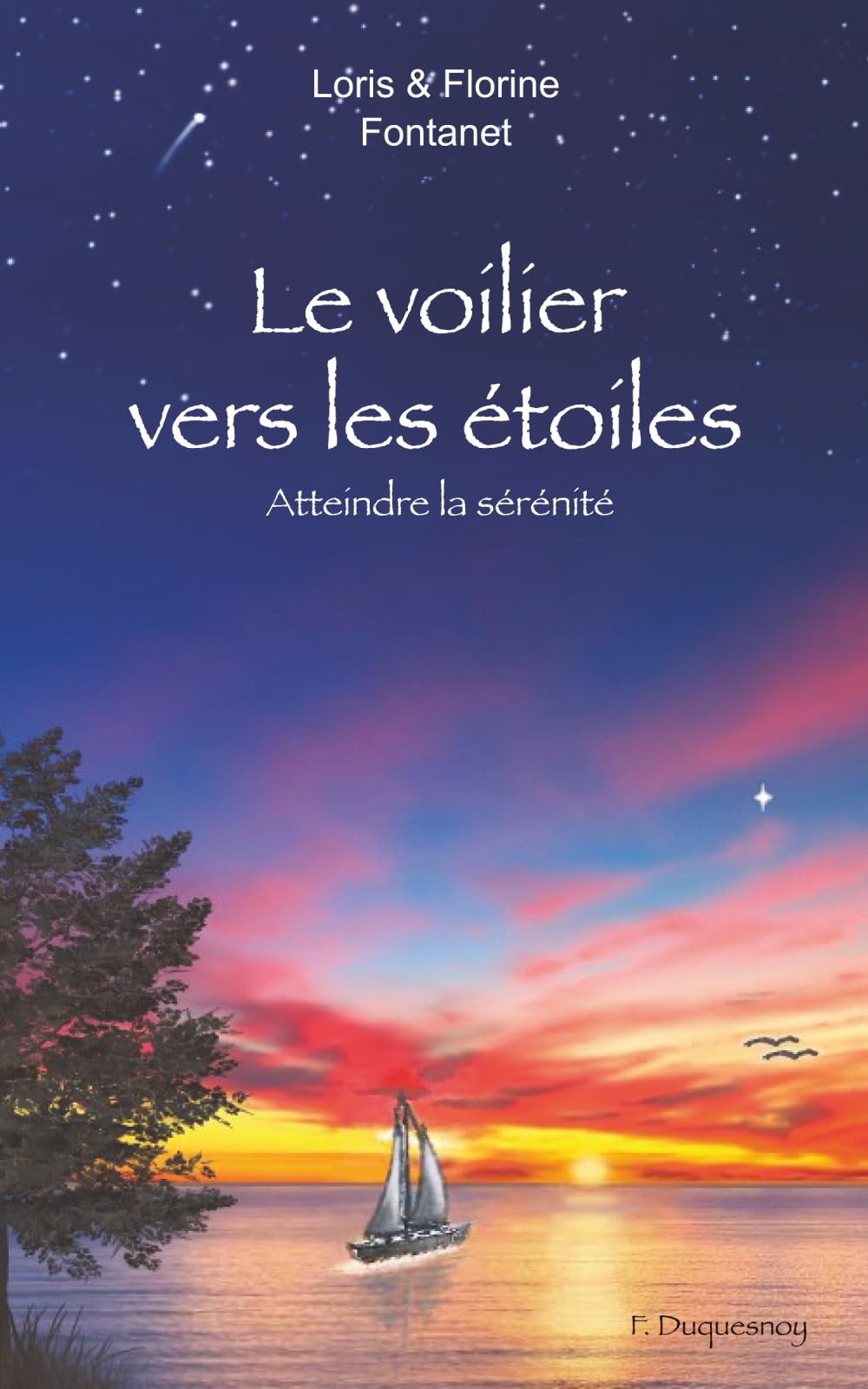Le voilier vers les étoiles: Comprendre comment atteindre la sérénité grâce aux mécanismes et outils du développement personnel et de la psychologie positive book