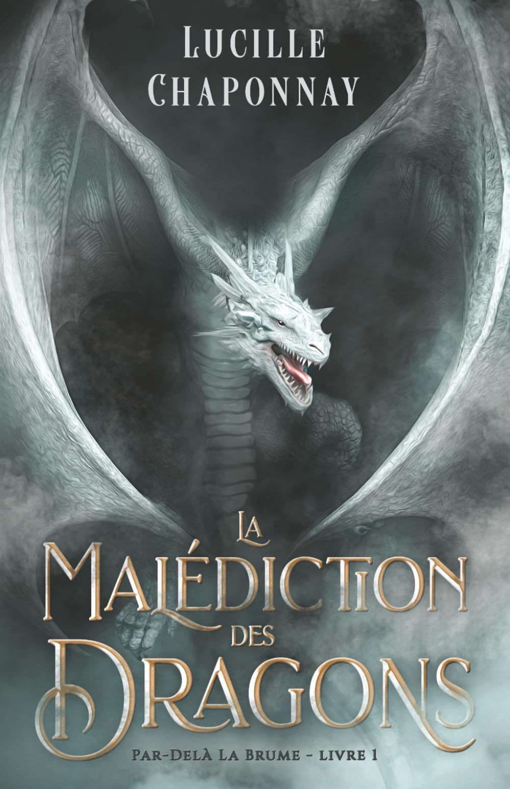 La Malédiction des Dragons: Une Romantasy Slow Burn (Par-Delà la Brume, Band 1) Reference Books