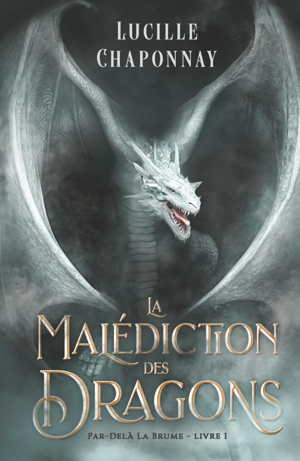 La Malédiction des Dragons: Une Romantasy Slow Burn (Par-Delà la Brume, Band 1) Reference Books