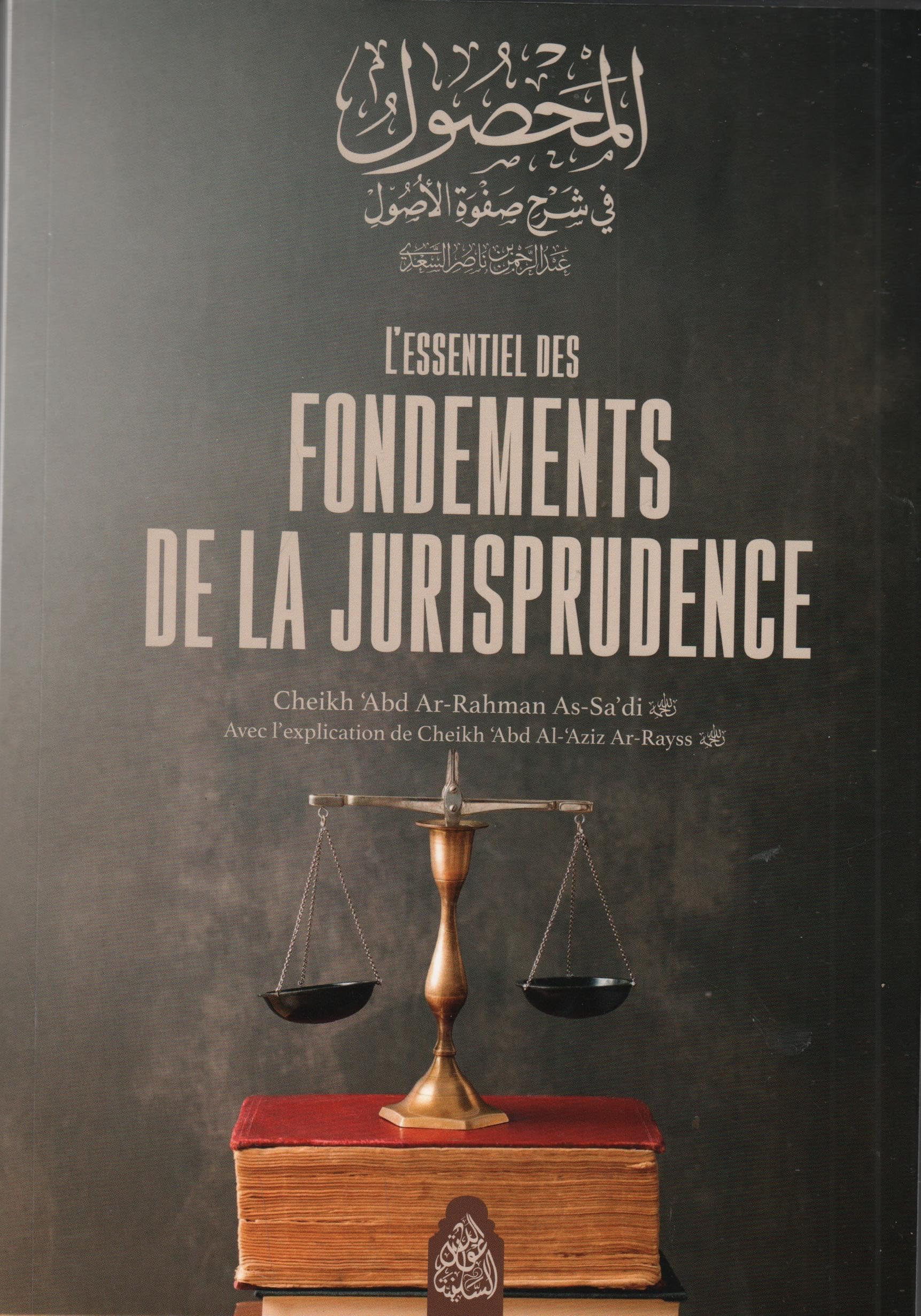 L’ESSENTIEL DES FONDEMENTS DE LA JURISPRUDENCE book