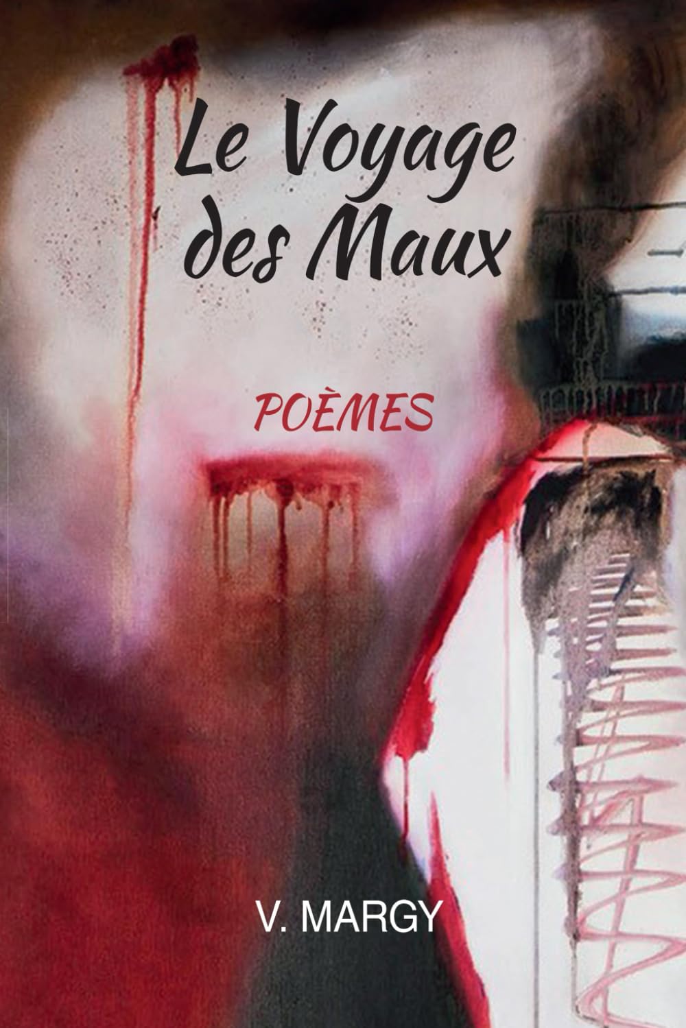 LE VOYAGE DES MAUX: Recueil de poèmes book