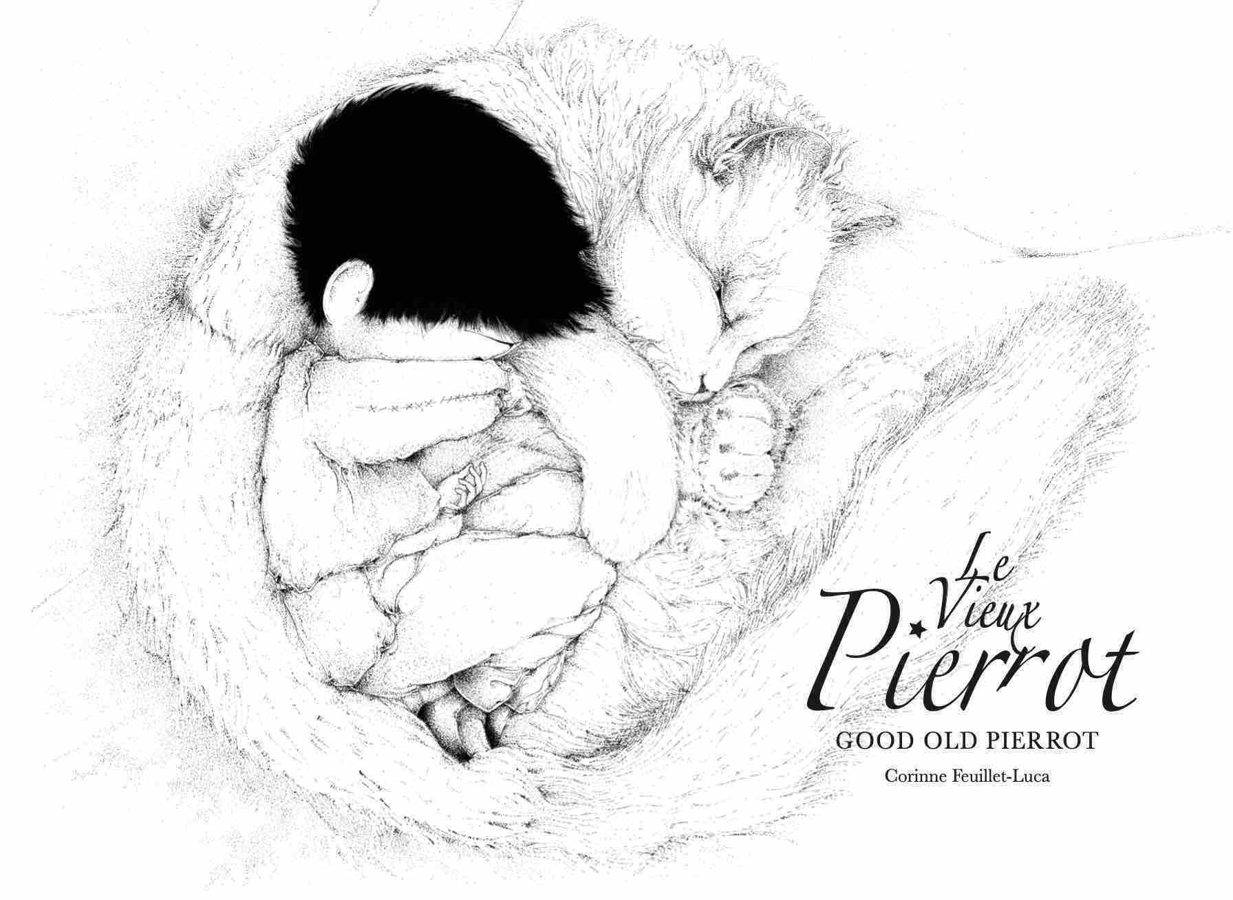 Le Vieux Pierrot / Good Old Pierrot Children's books