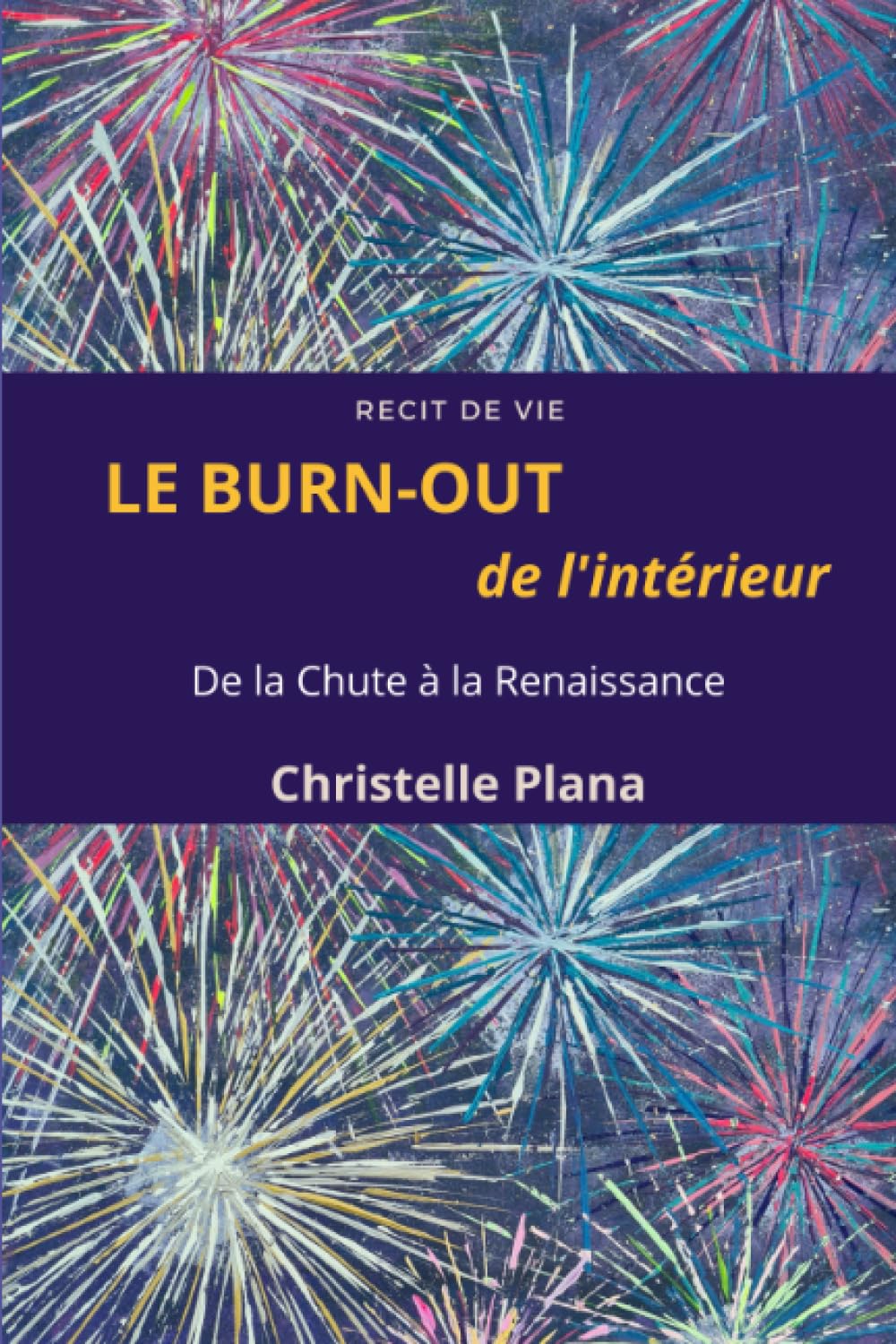 LE BURN-OUT DE L'INTERIEUR: De la Chute à la Renaissance book