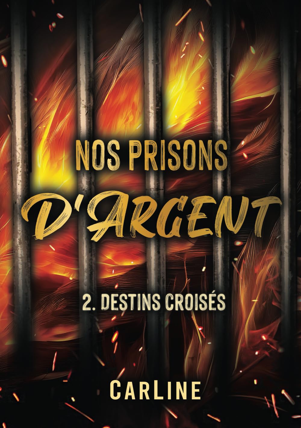 Nos prisons d'argent: Tome 2 - Destins croisés book