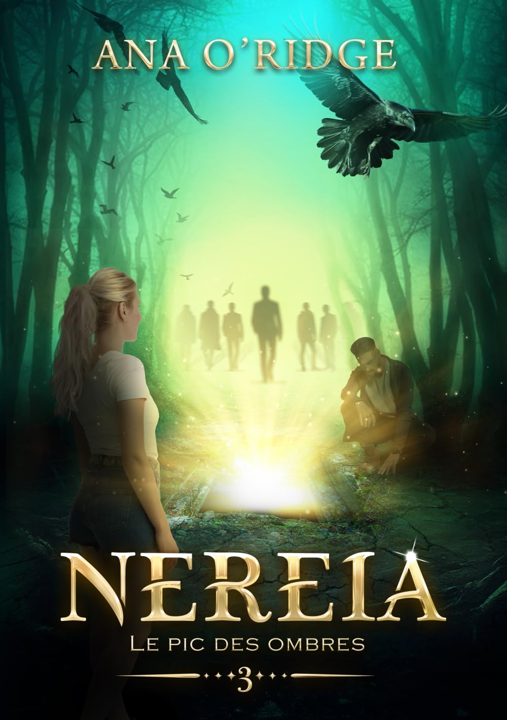 Le Pic des ombres: série fantastique young adult book