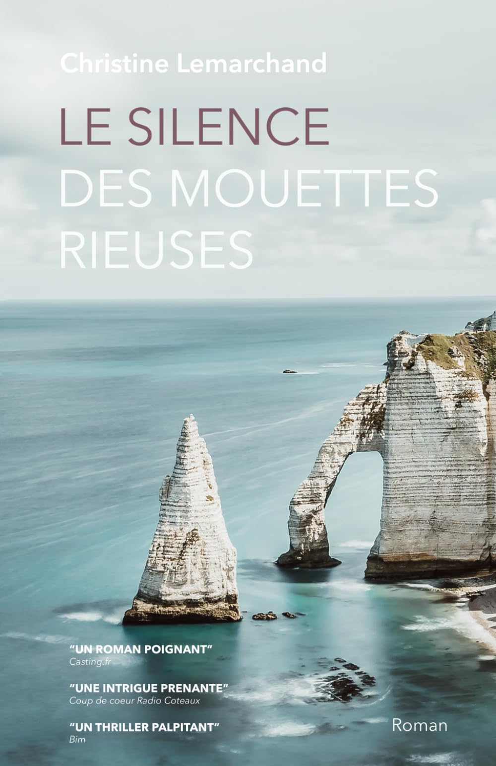 Le silence des mouettes rieuses book