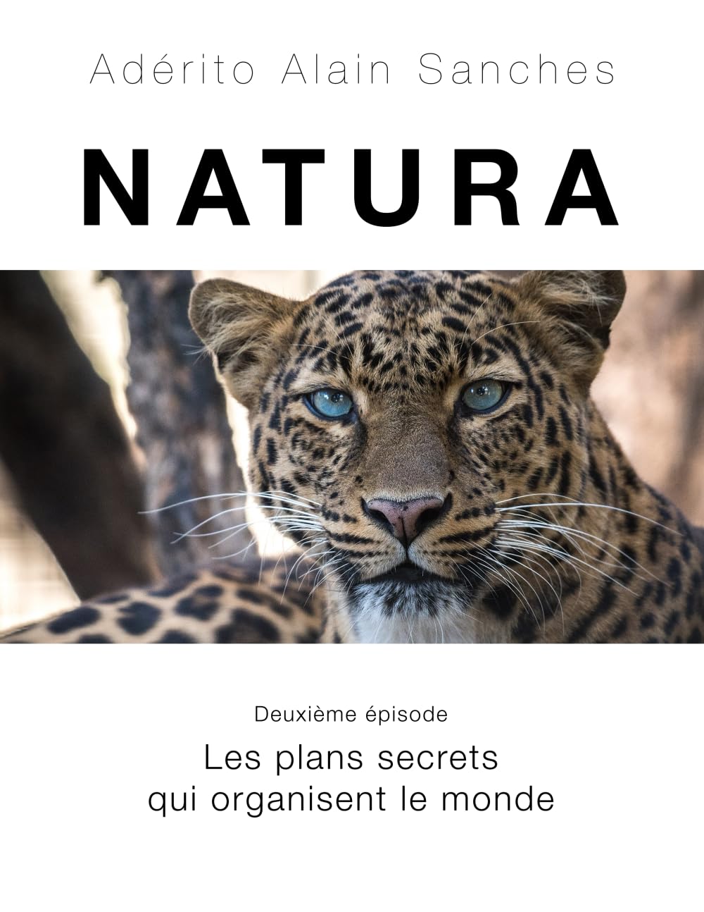 NATURA: Deuxième épisode - Les plans secrets qui organisent le monde book
