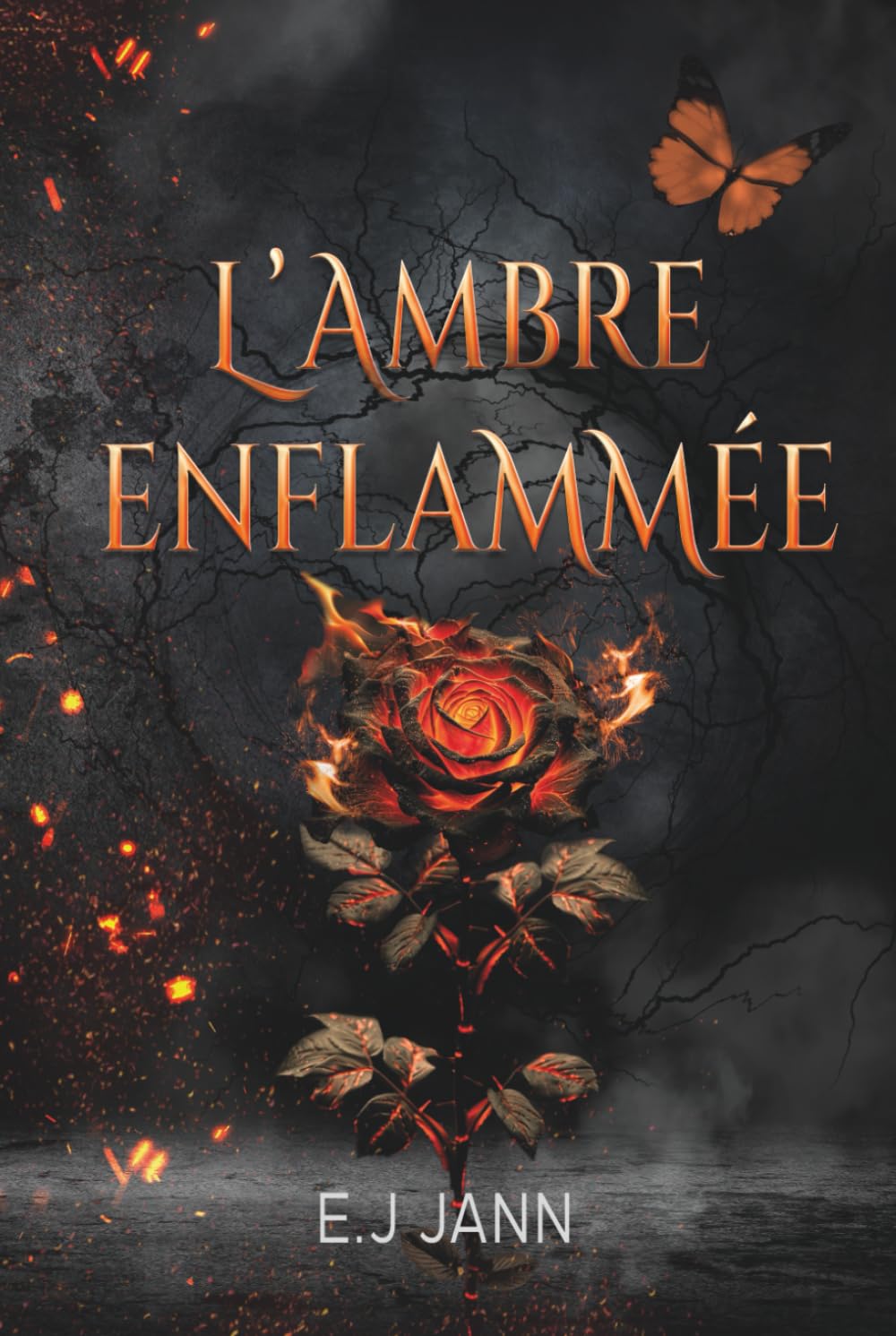 L'Ambre Enflammée: Tome 1.5 book