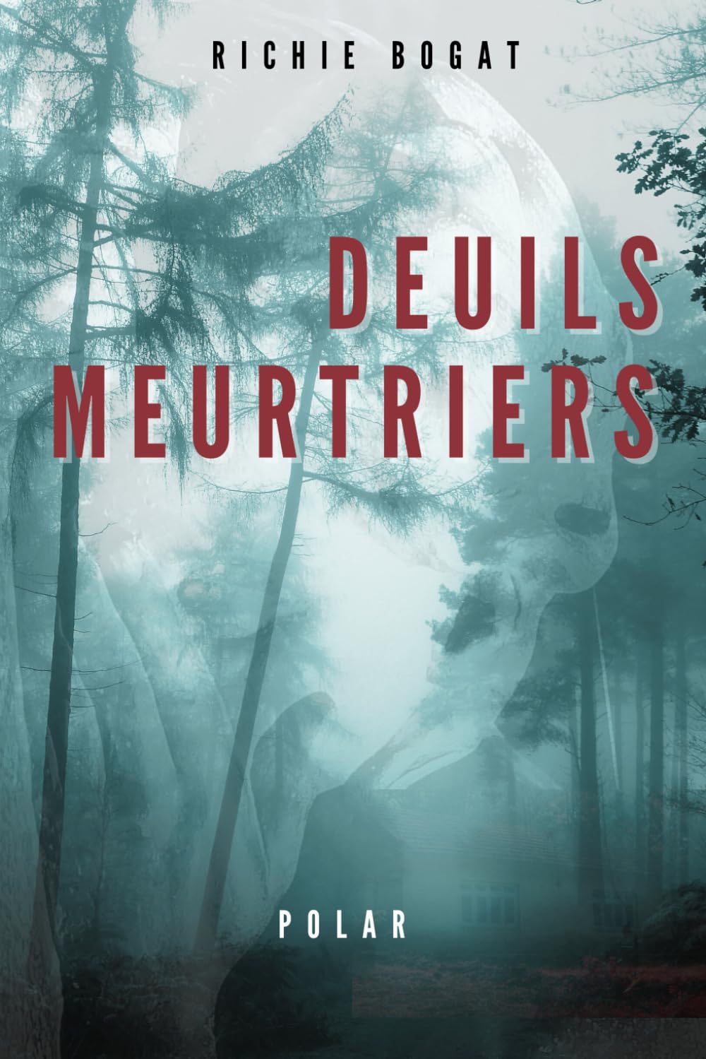 DEUILS MEURTRIERS: Un polar haletant book