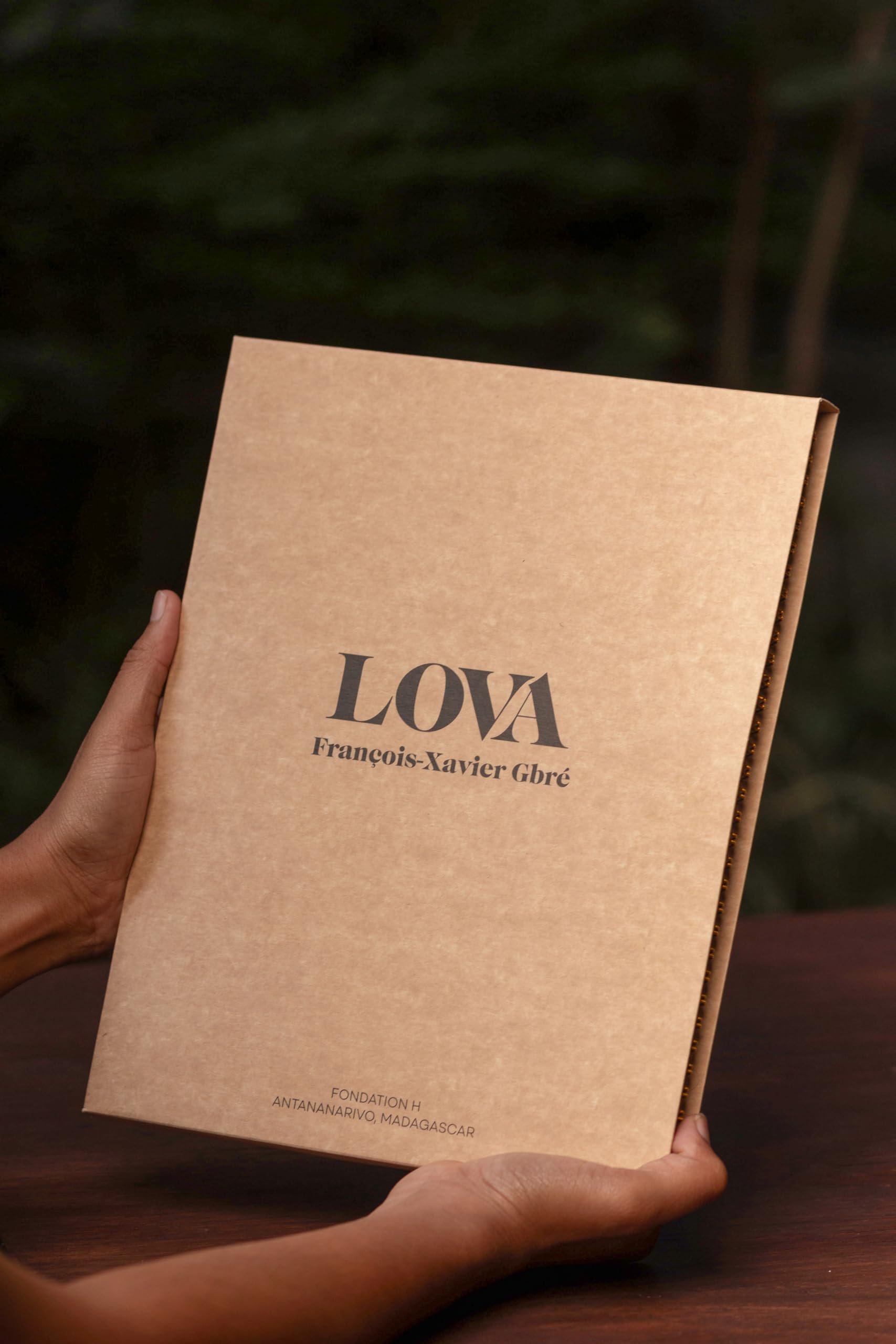 Lova - François-Xavier Gbré book