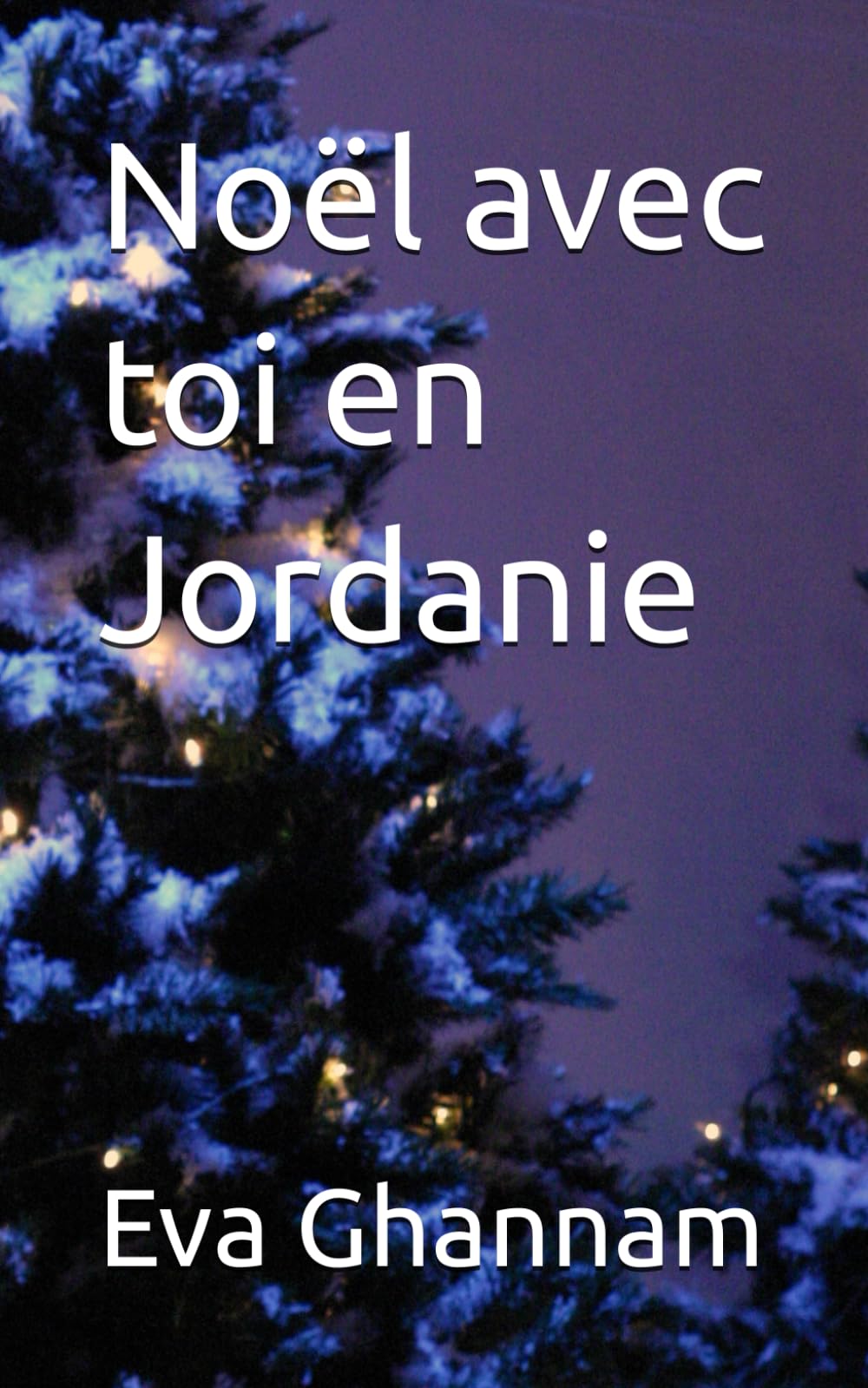 Noël avec toi en Jordanie: Inès et Samir book