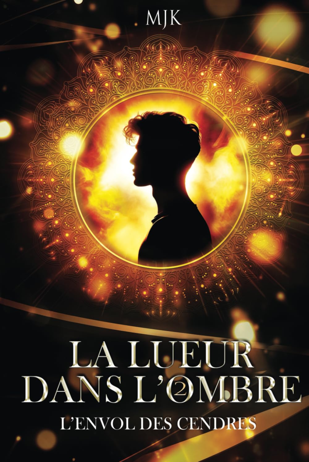 La lueur dans l'ombre, tome 2 : l'envol des cendres (duologie complète) book