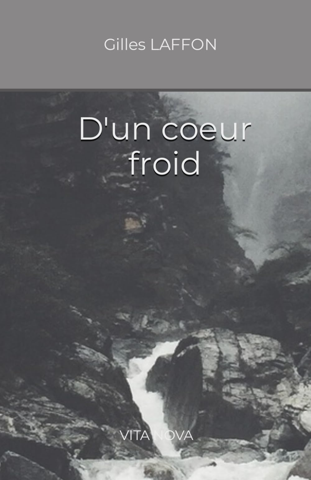 D'un coeur froid (VITA NOVA, Band 1) Poetry
