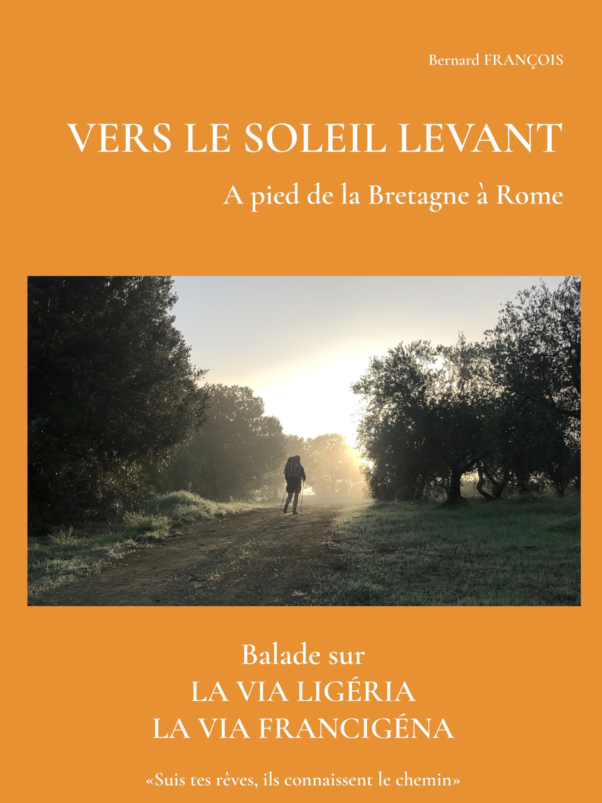VERS LE SOLEIL LEVANT A pied de la Bretagne à Rome book