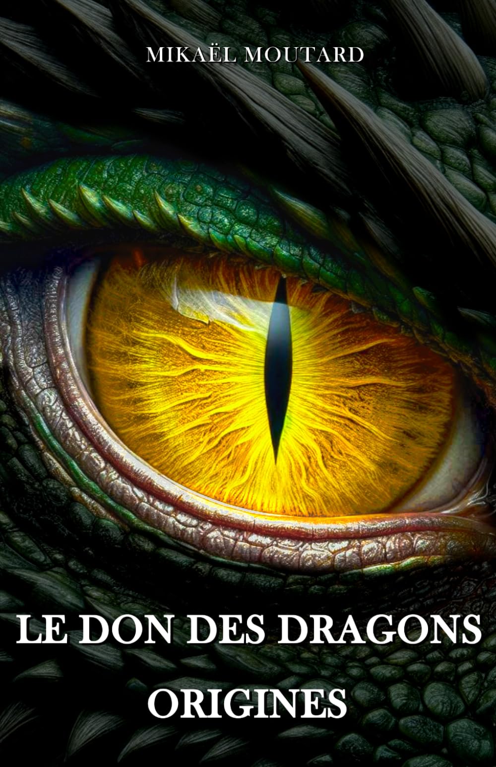 Le Don des Dragons: Origines - Tome 2 Reference Books