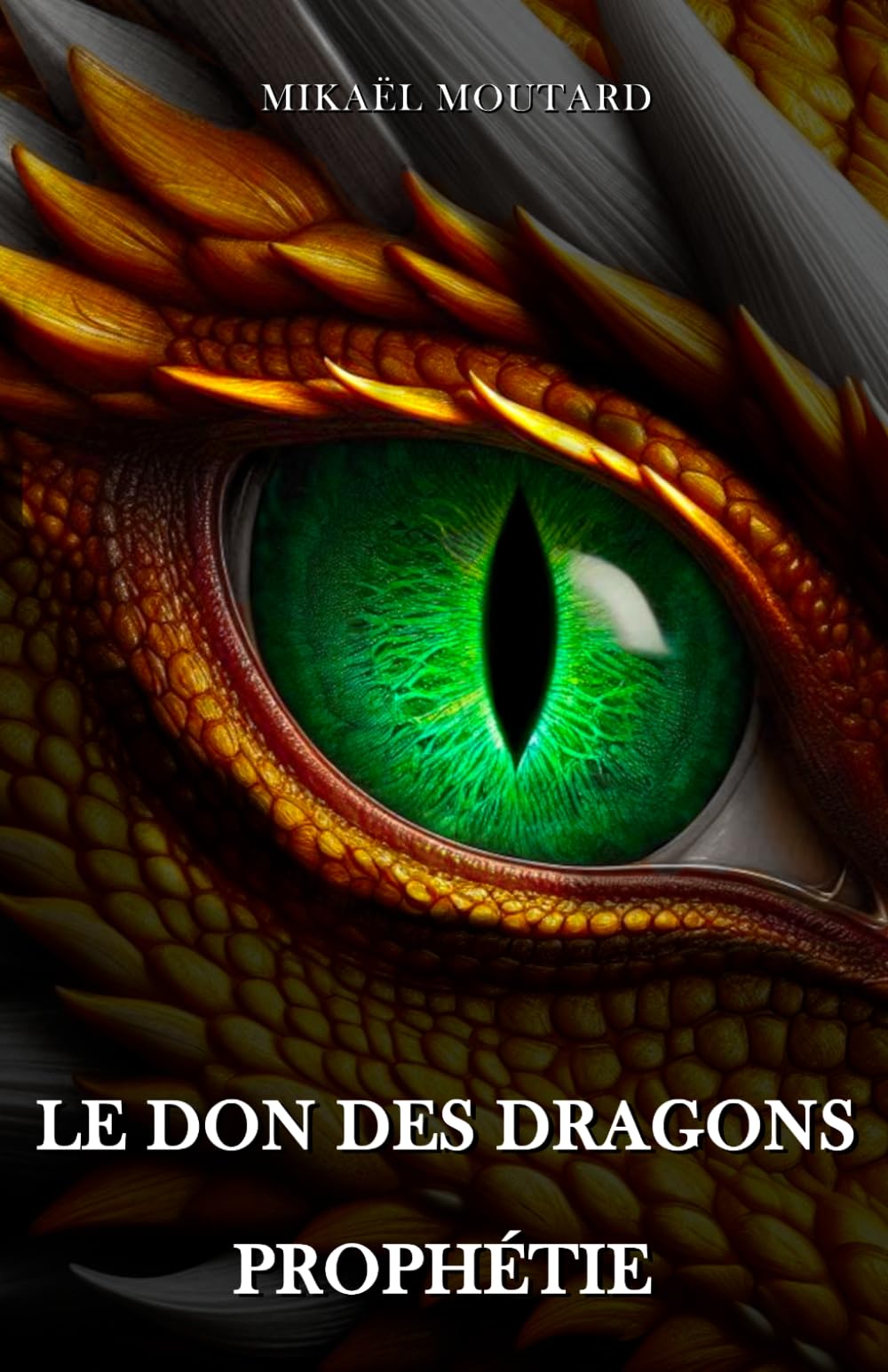 Le Don des Dragons: Prophétie - Tome 3 book