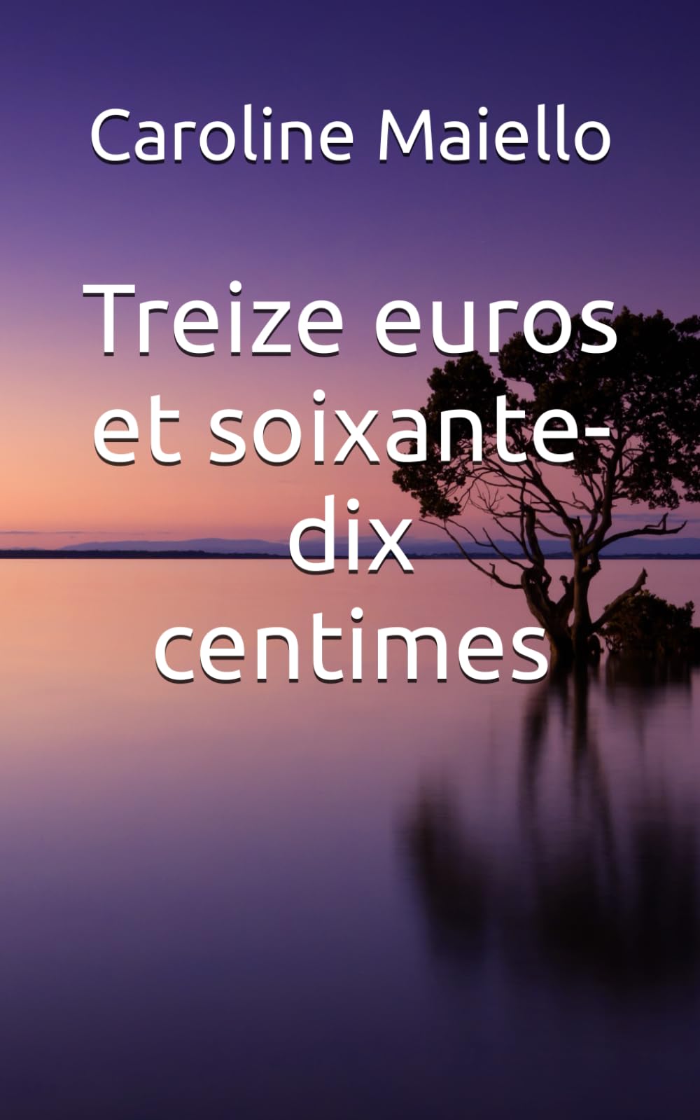 Treize euros et soixante-dix centimes Books