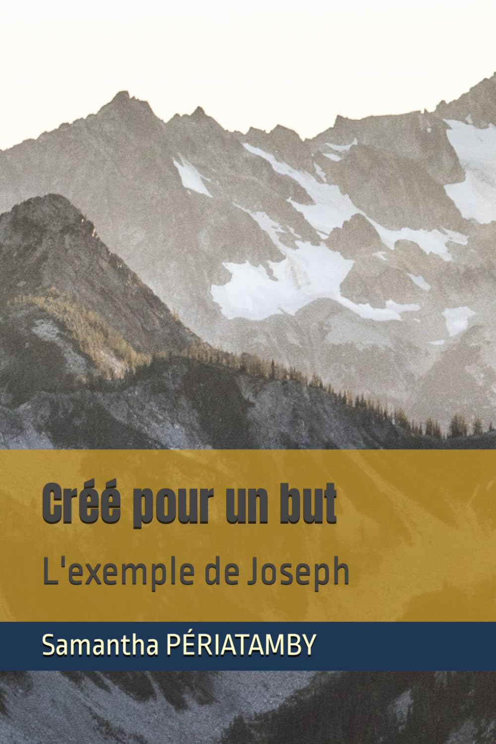 Créé pour un but: L'exemple de Joseph book